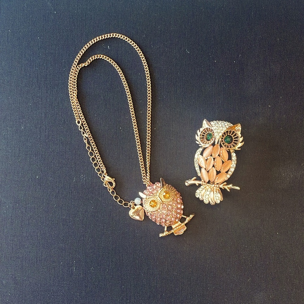 Betsy Johnson Owl Necklace (16” chain) and Owl Pin